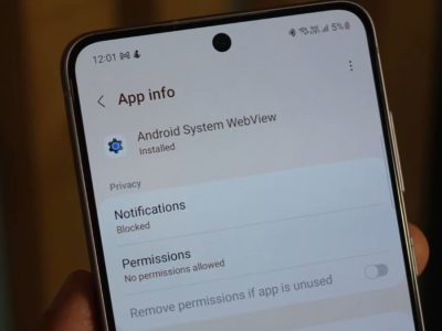 Android System WebView 125 provoque des fermetures d’apps sur Galaxy S21 et S22